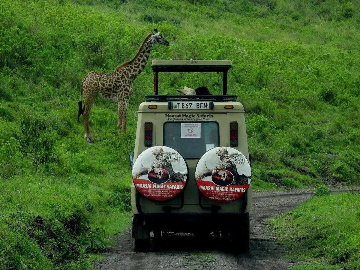 Serengeti Safari